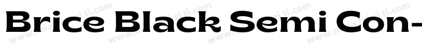 Brice Black Semi Con字体转换
